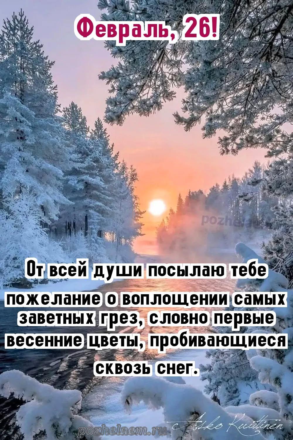 Красивые открытки на 26 февраля (100+ фото)