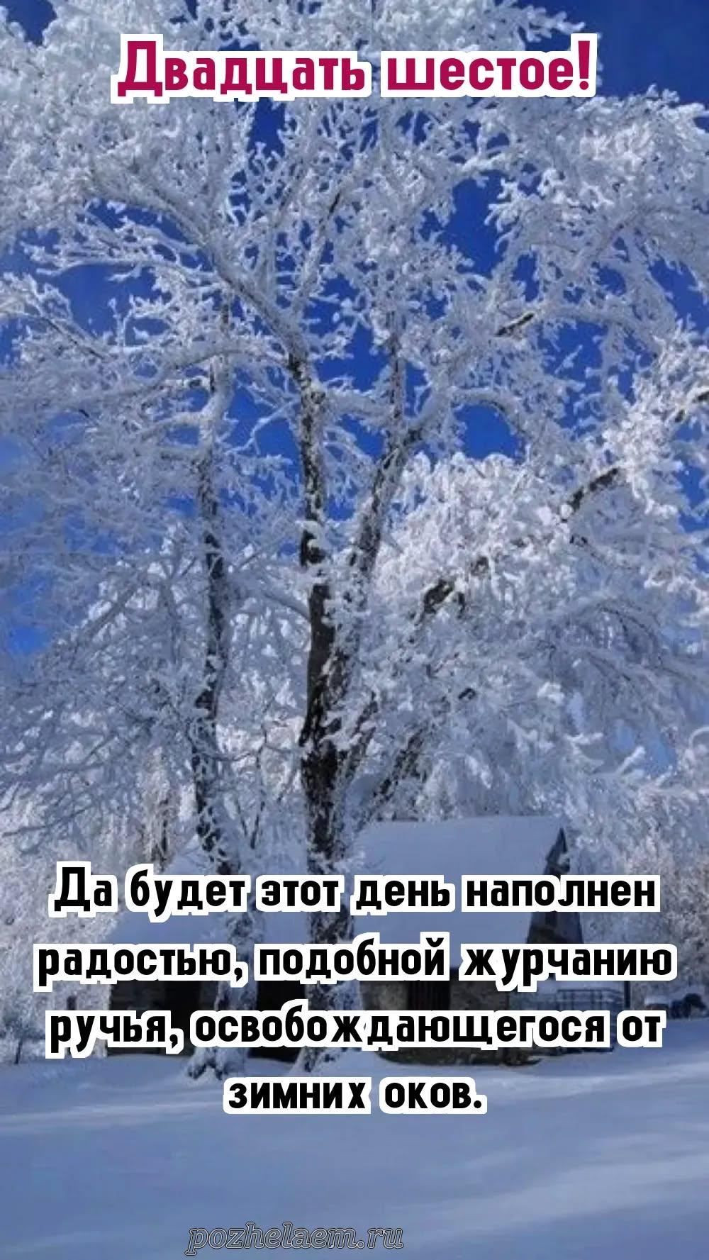 Красивые открытки на 26 февраля (100+ фото)