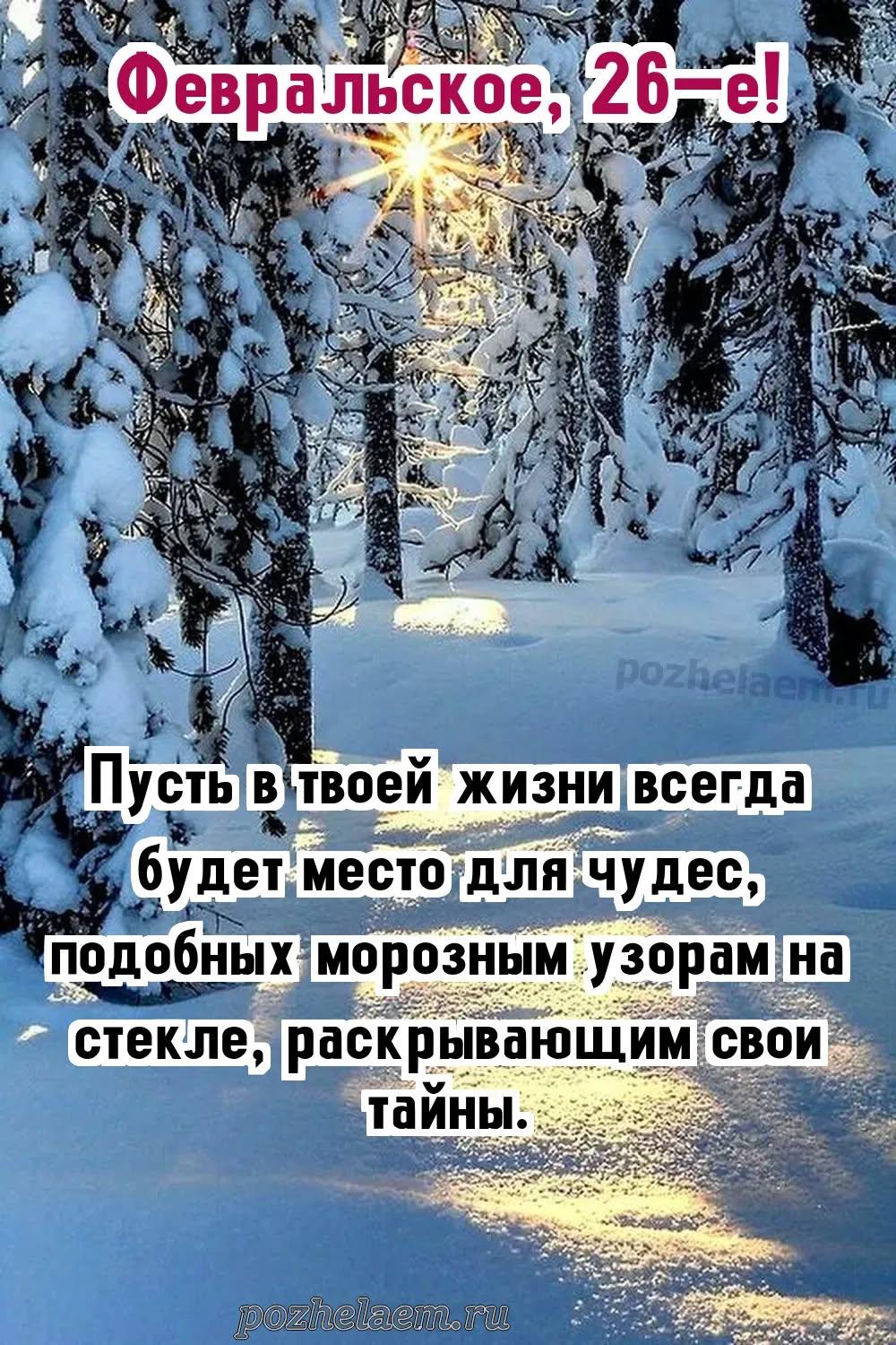Красивые открытки на 26 февраля (100+ фото)