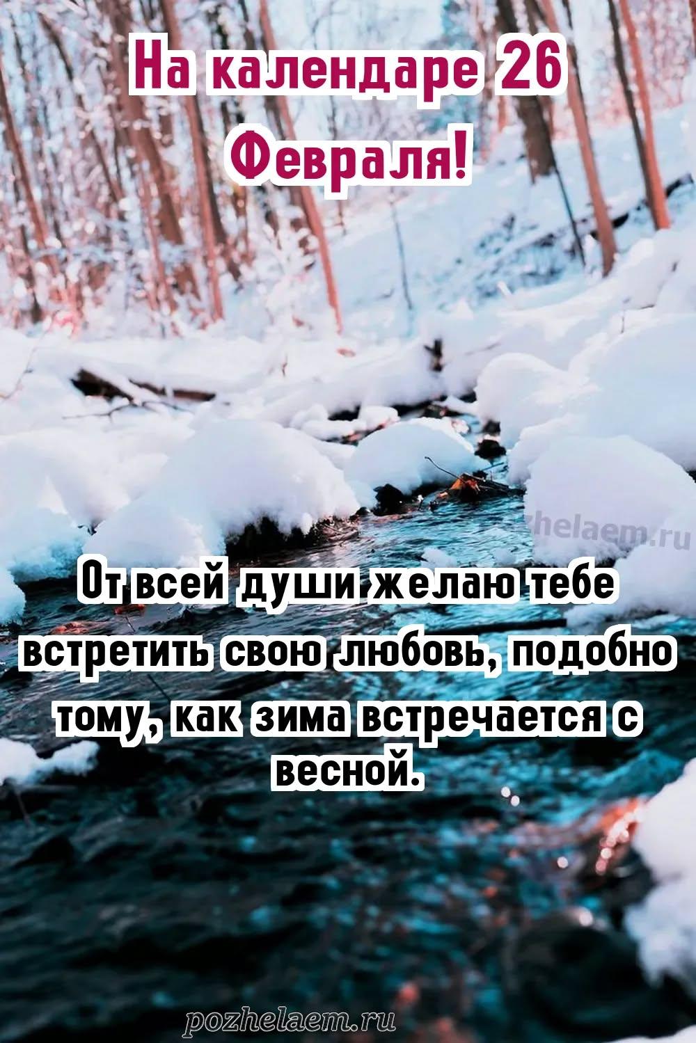 Красивые открытки на 26 февраля (100+ фото)
