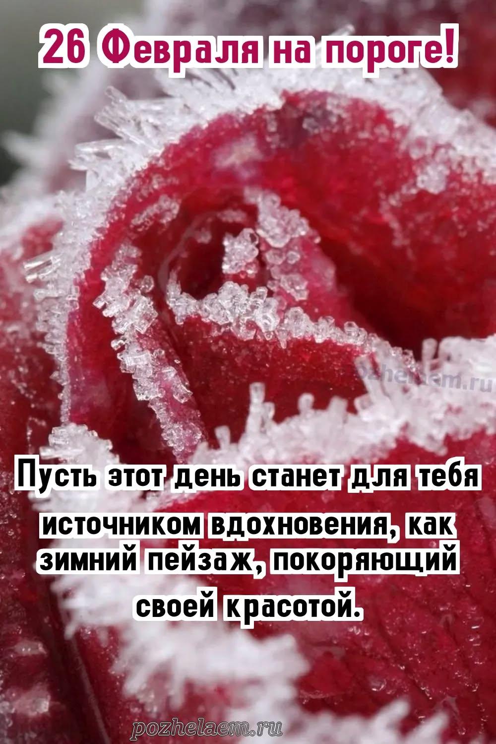 Красивые открытки на 26 февраля (100+ фото)