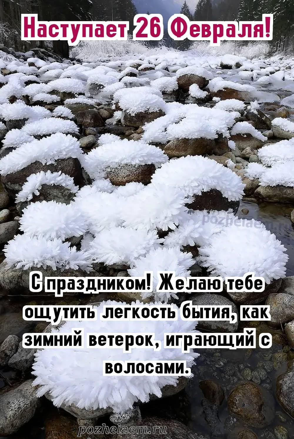 Красивые открытки на 26 февраля (100+ фото)