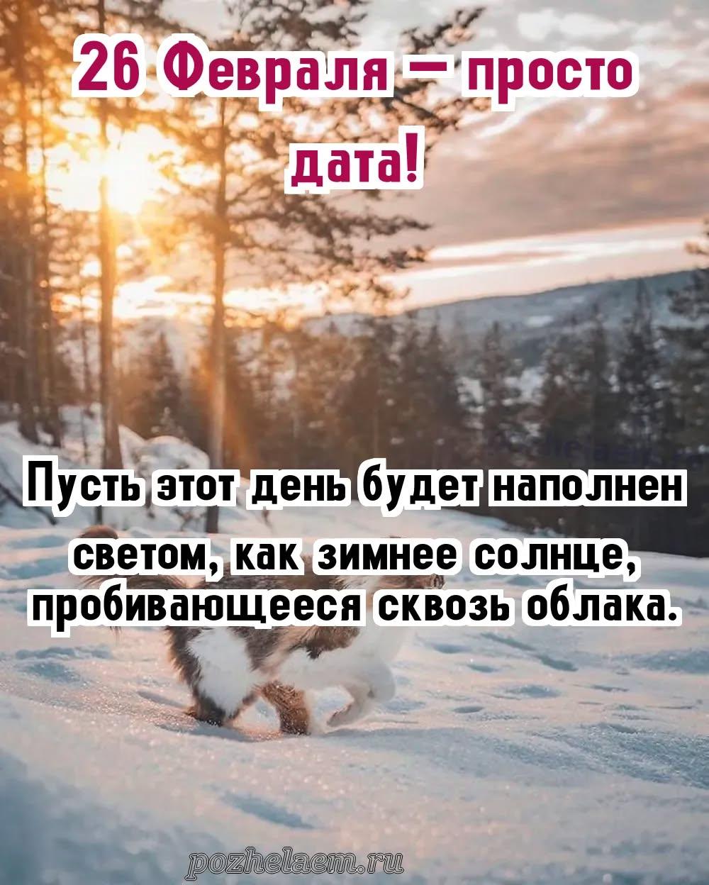 Красивые открытки на 26 февраля (100+ фото)