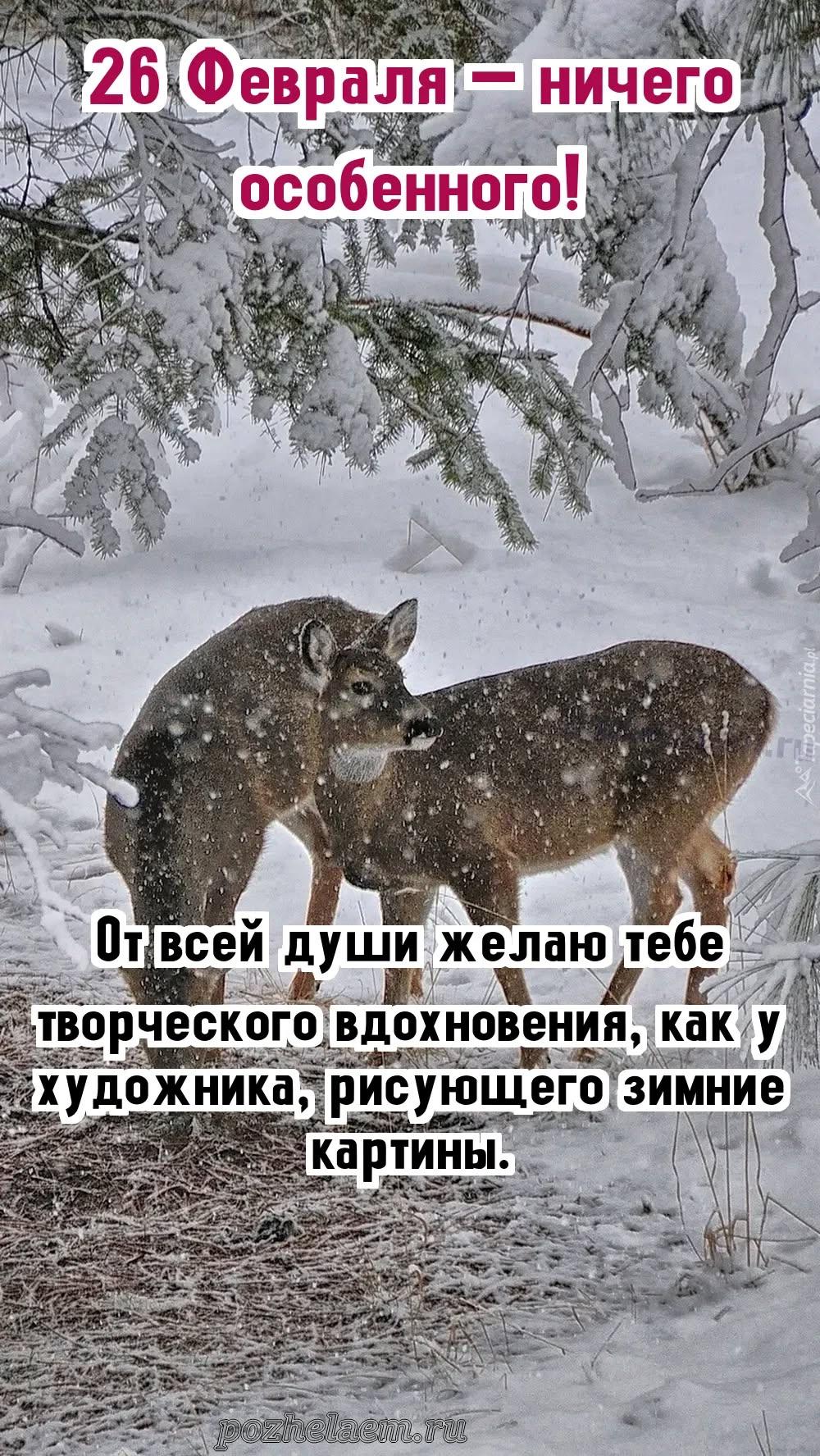 Красивые открытки на 26 февраля (100+ фото)