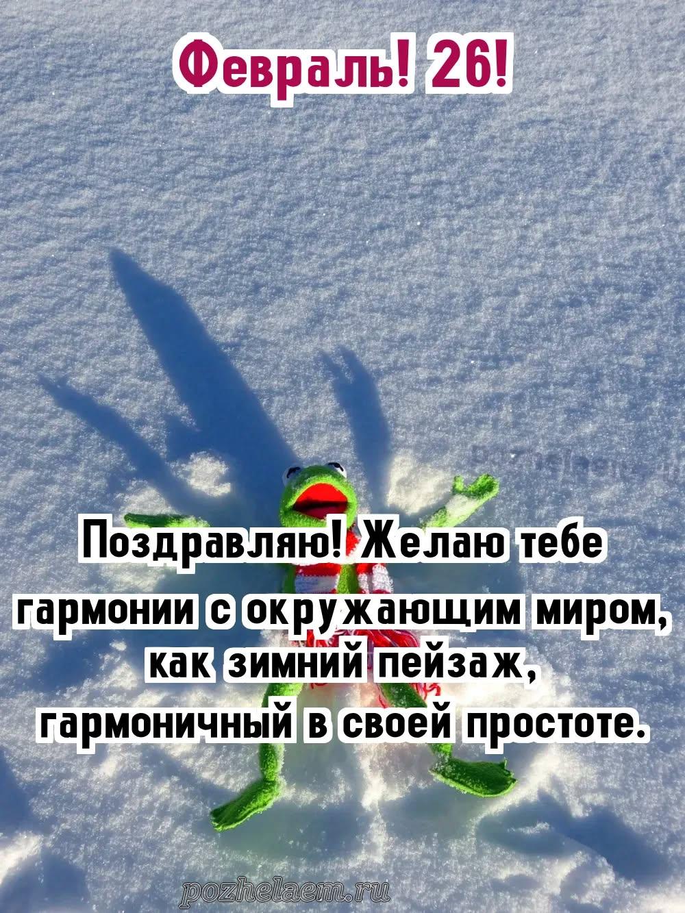 Красивые открытки на 26 февраля (100+ фото)