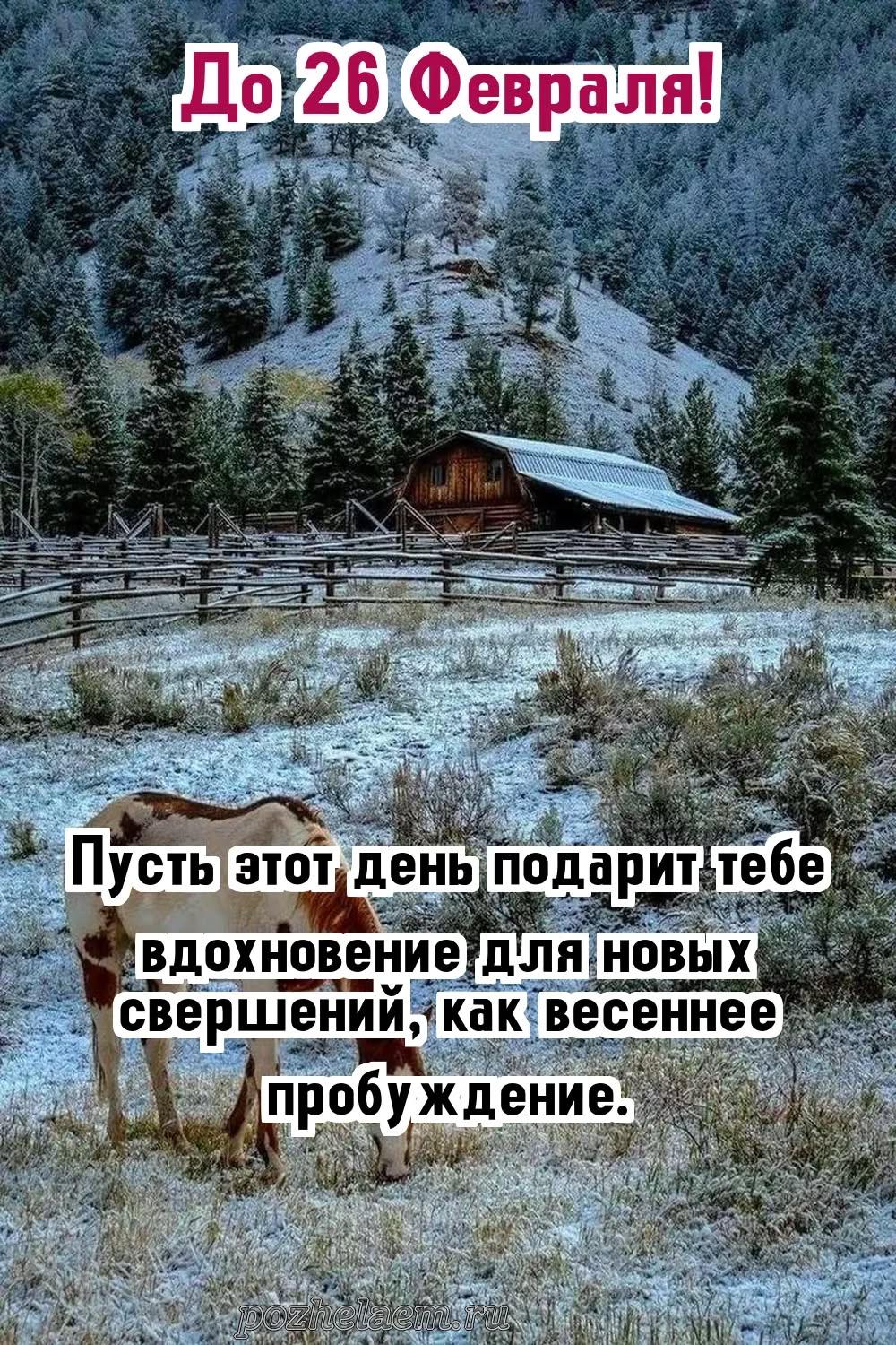 Красивые открытки на 26 февраля (100+ фото)