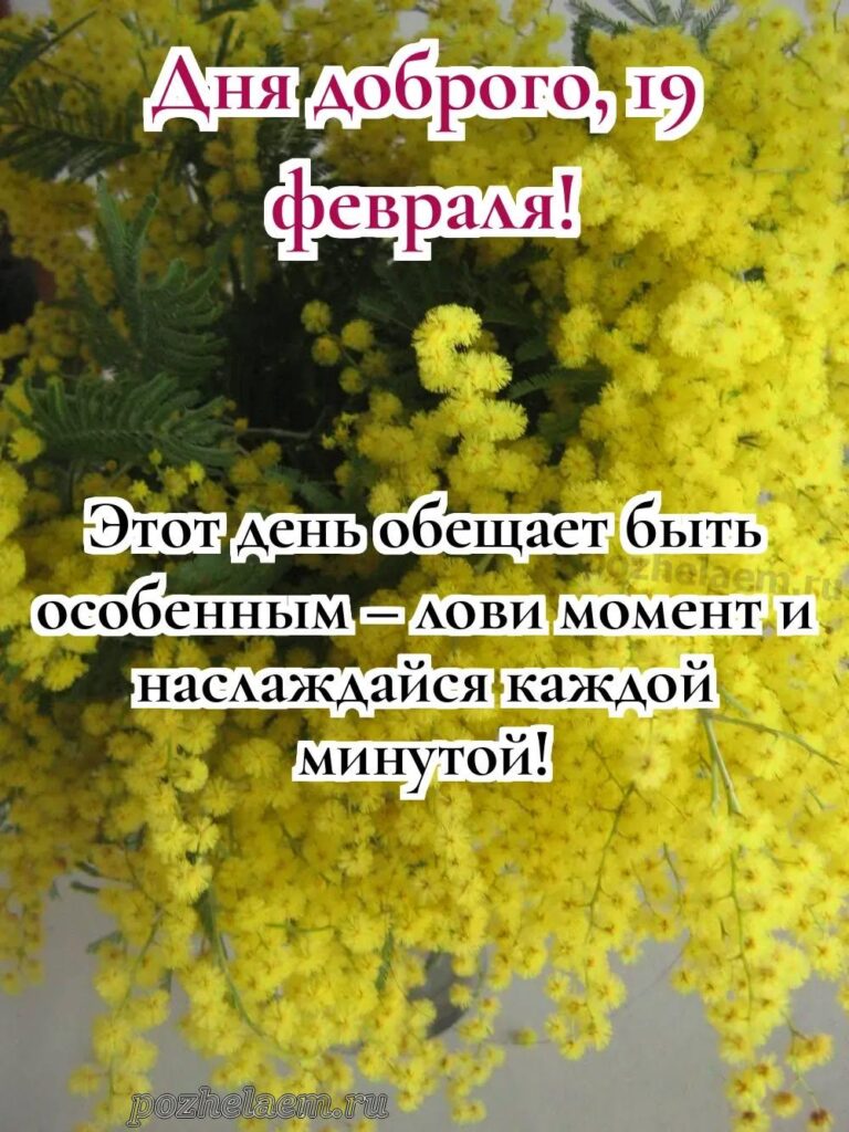 Рисунок на день добрых дел