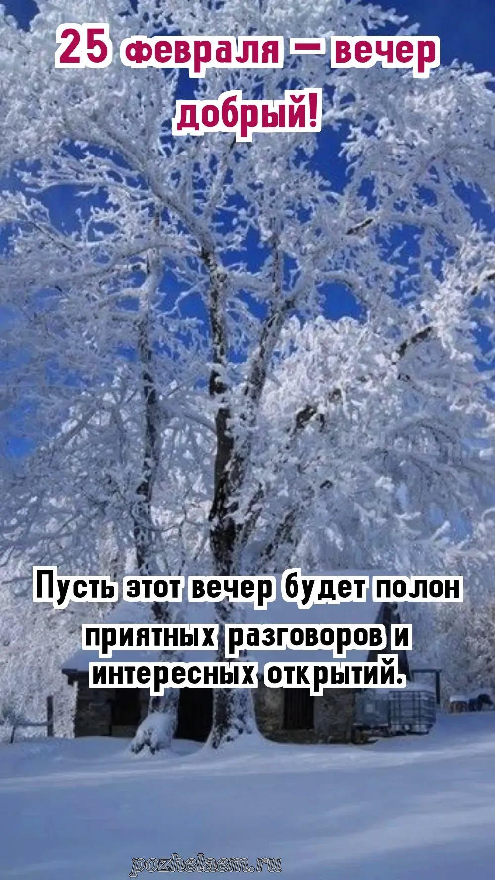 Добрый вечер 25 февраля красивые картинки и открытки