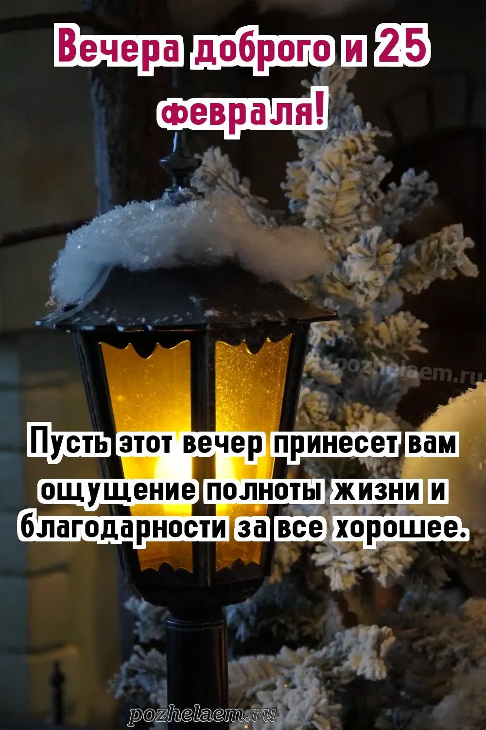 Добрый вечер 25 февраля красивые картинки и открытки