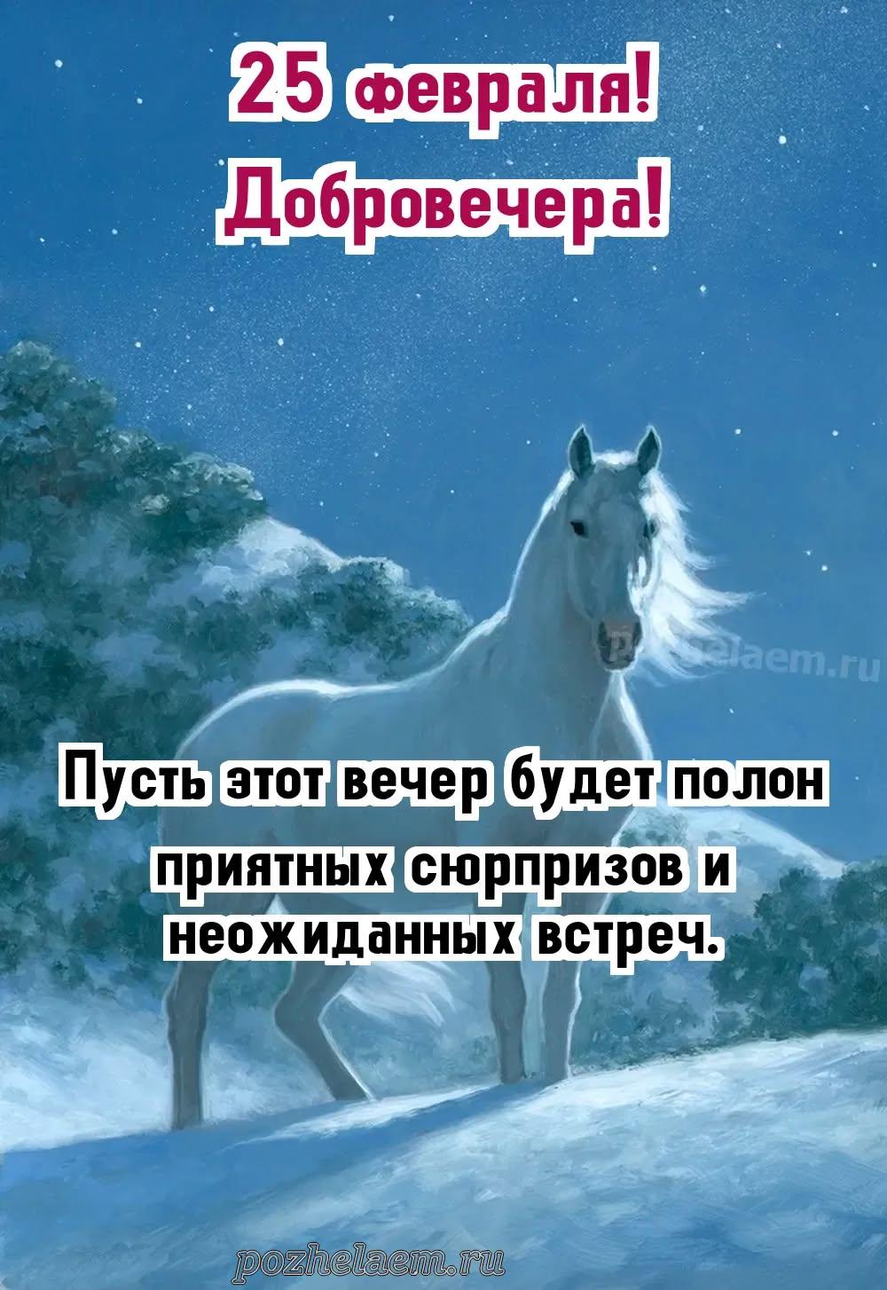 Добрый вечер 25 февраля красивые картинки и открытки