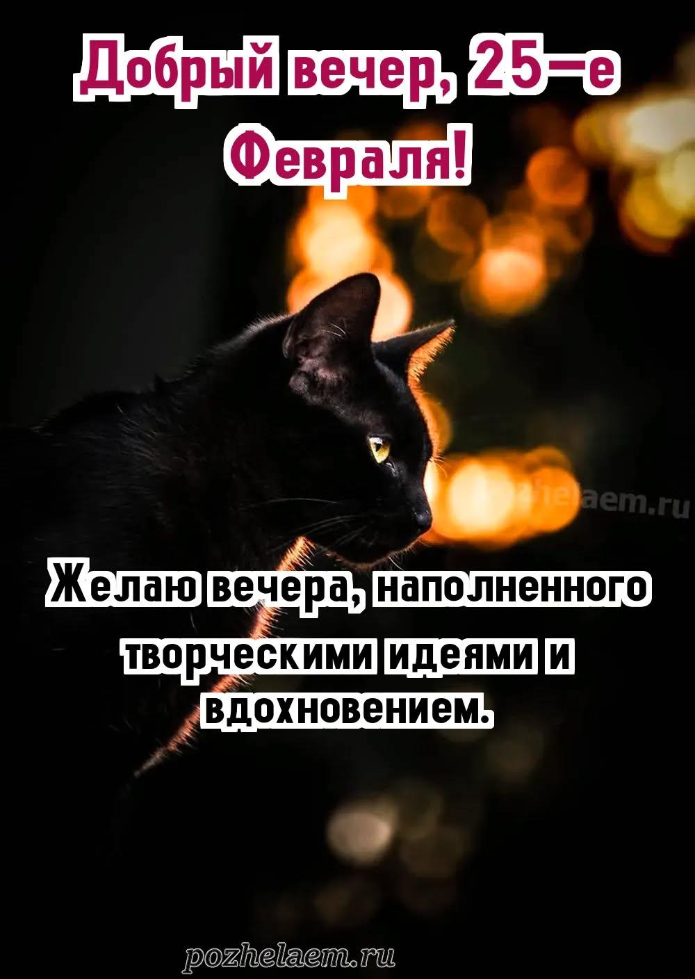Добрый вечер 25 февраля красивые картинки и открытки