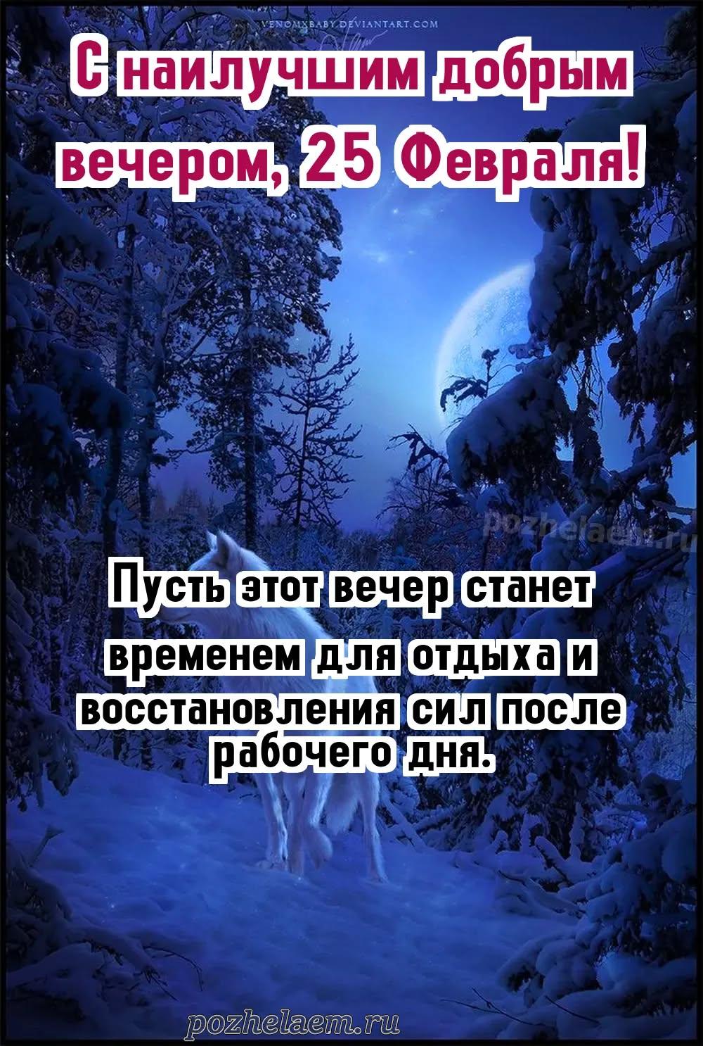 Добрый вечер 25 февраля красивые картинки и открытки
