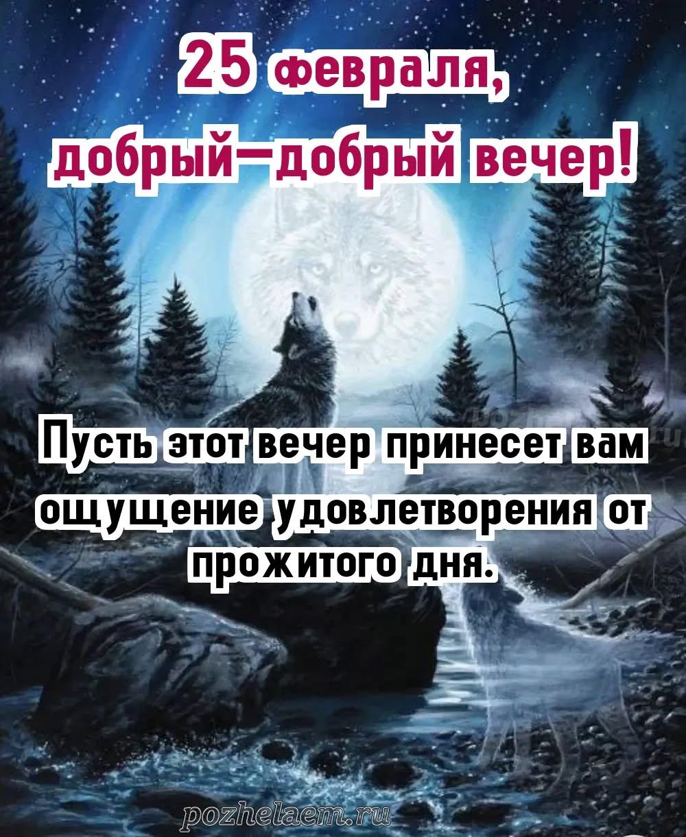 Добрый вечер 25 февраля красивые картинки и открытки