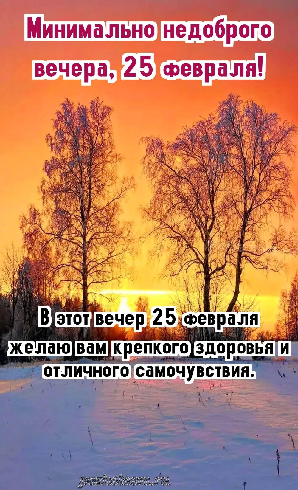 Добрый вечер 25 февраля красивые картинки и открытки