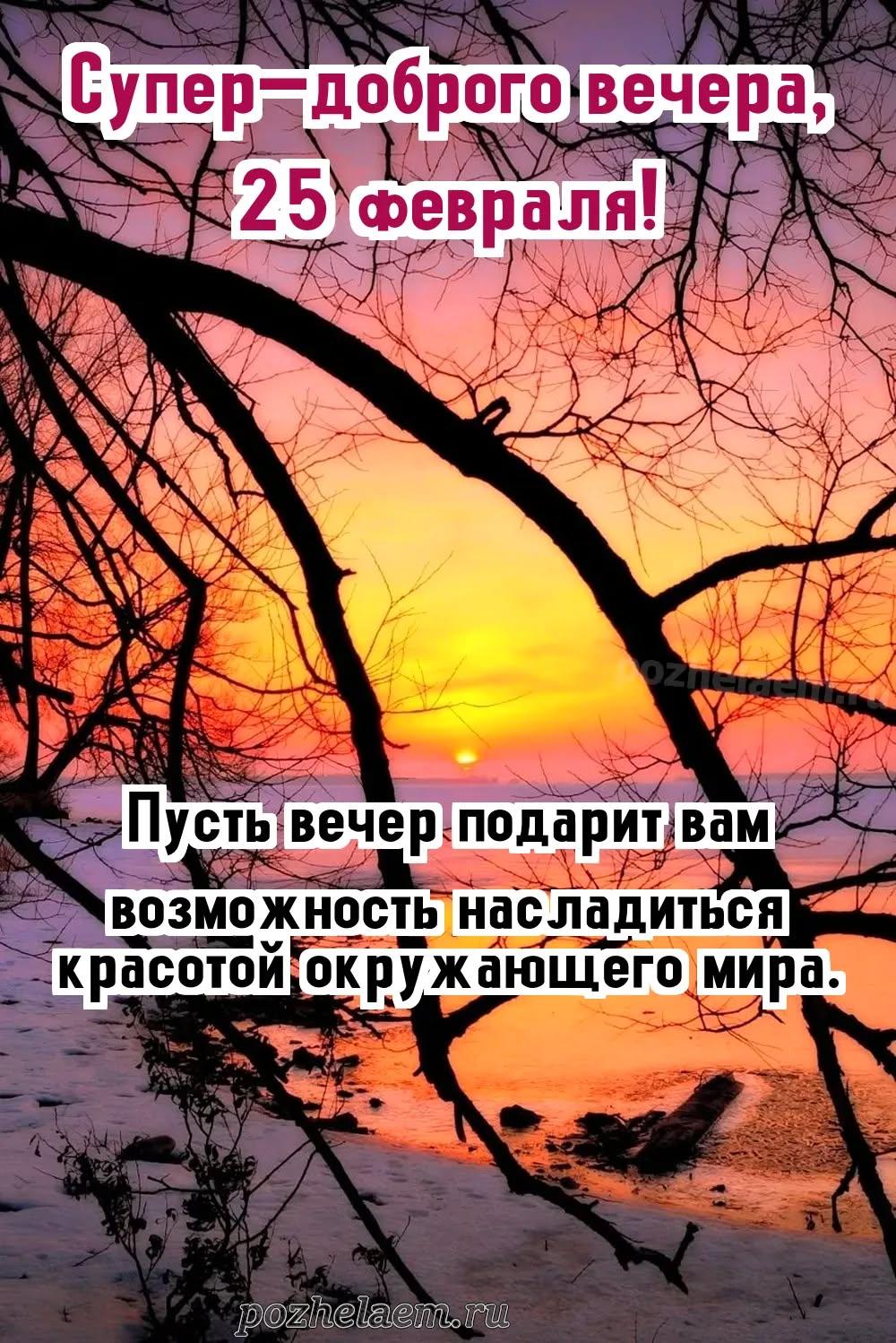 Добрый вечер 25 февраля красивые картинки и открытки