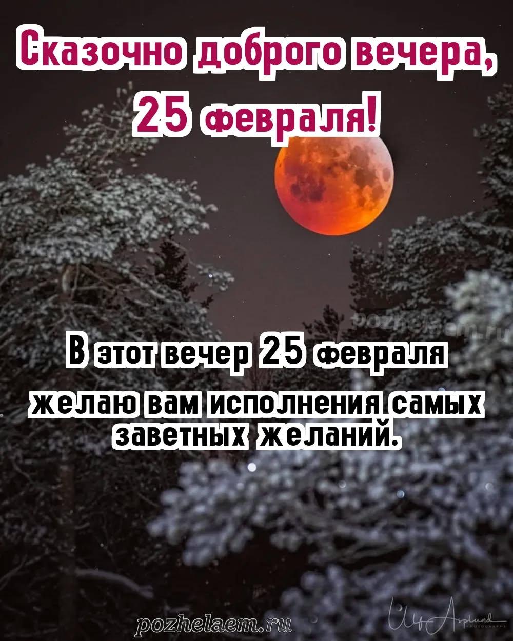 Добрый вечер 25 февраля красивые картинки и открытки