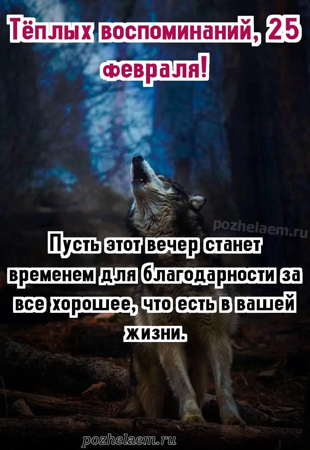 Добрый вечер 25 февраля красивые картинки и открытки