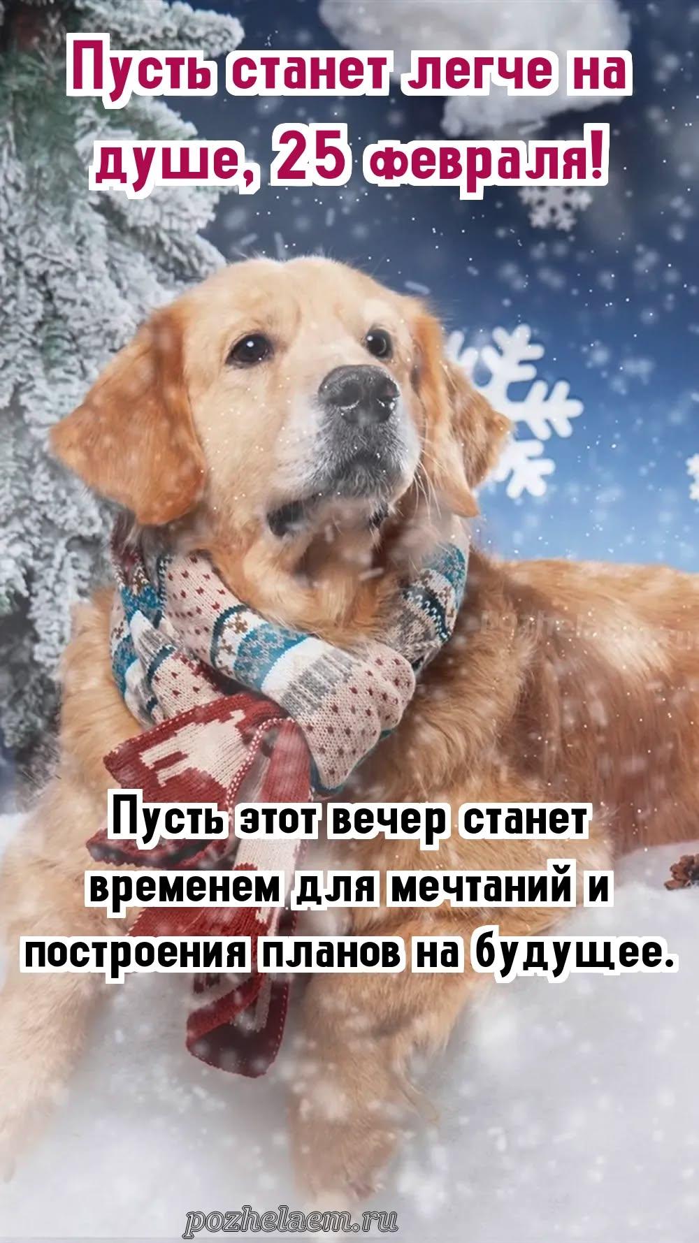 Добрый вечер 25 февраля красивые картинки и открытки
