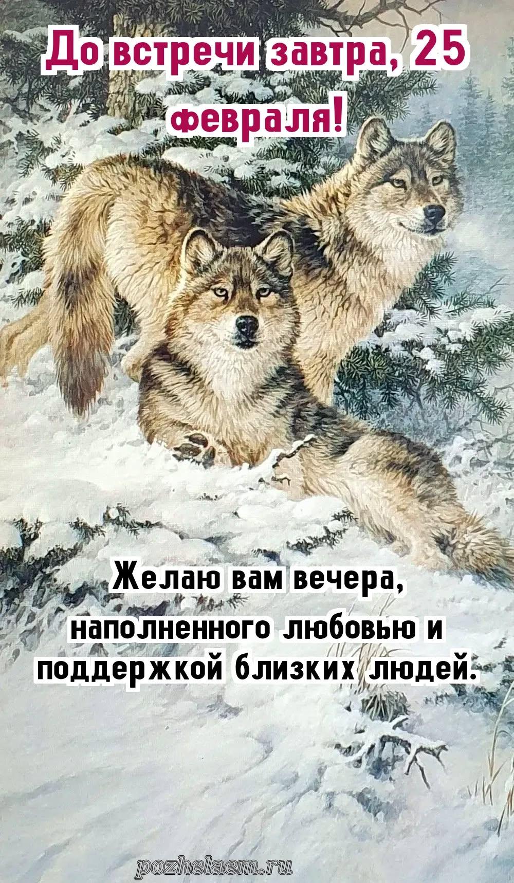 Добрый вечер 25 февраля красивые картинки и открытки