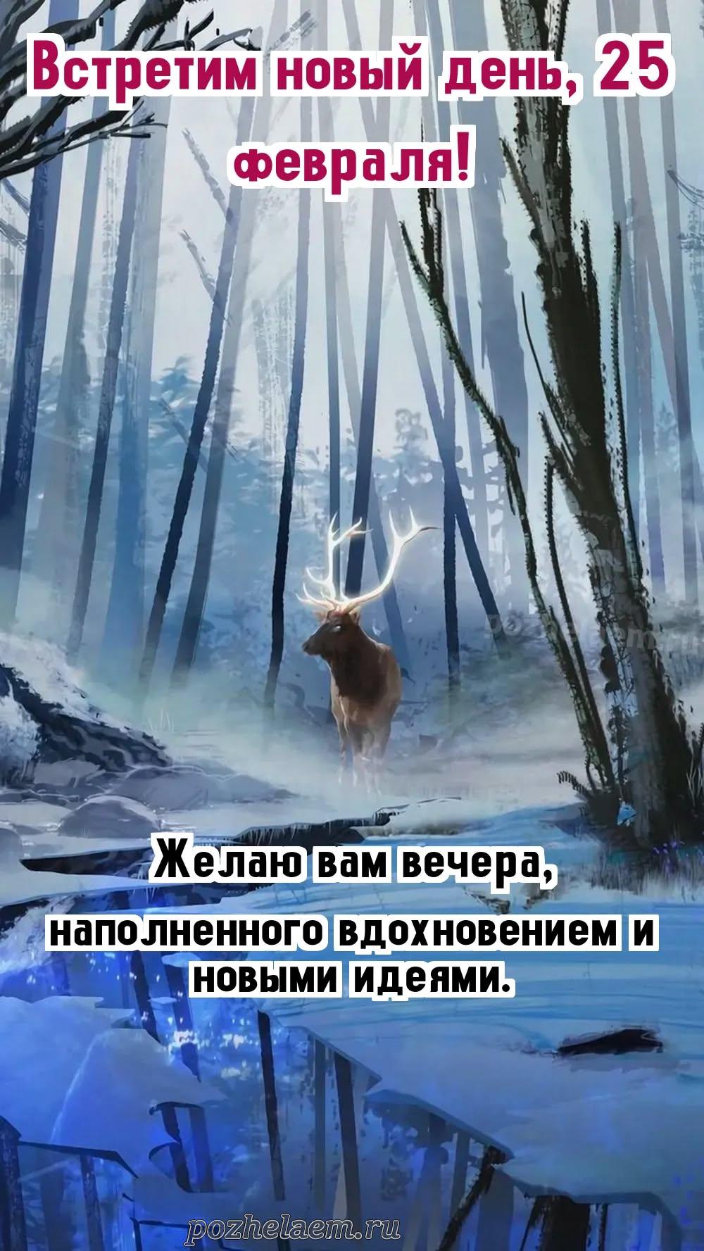 Добрый вечер 25 февраля красивые картинки и открытки