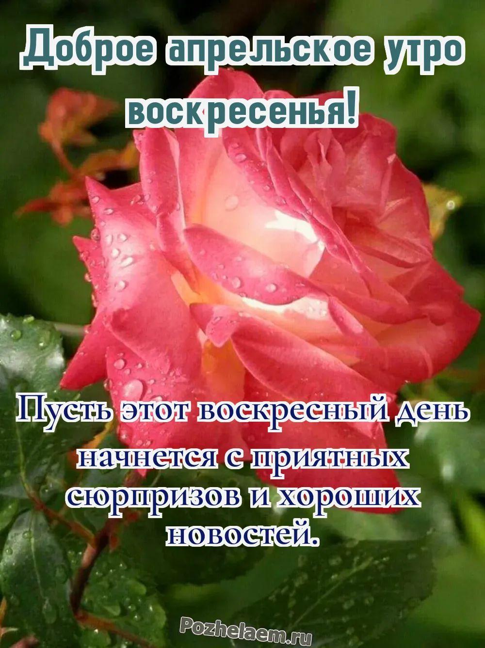 Доброе утро воскресенье апреля