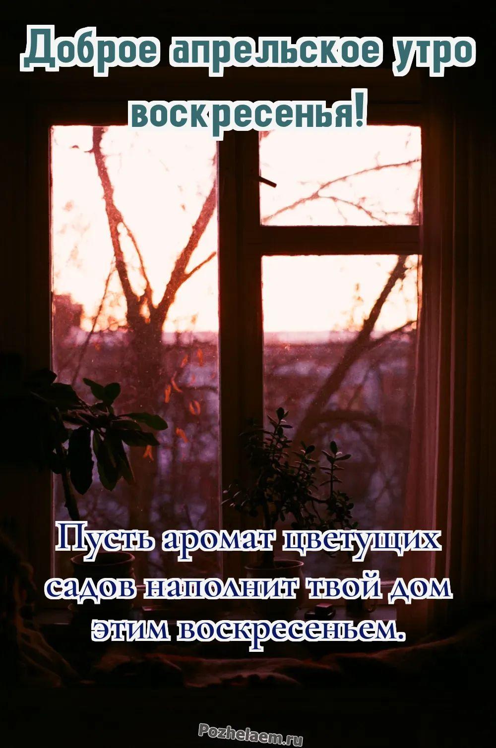 Доброе утро воскресенье апреля