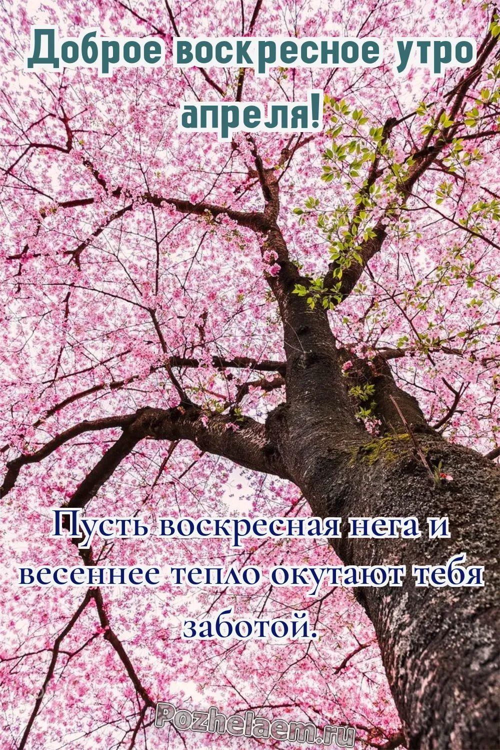 Доброе утро воскресенье апреля