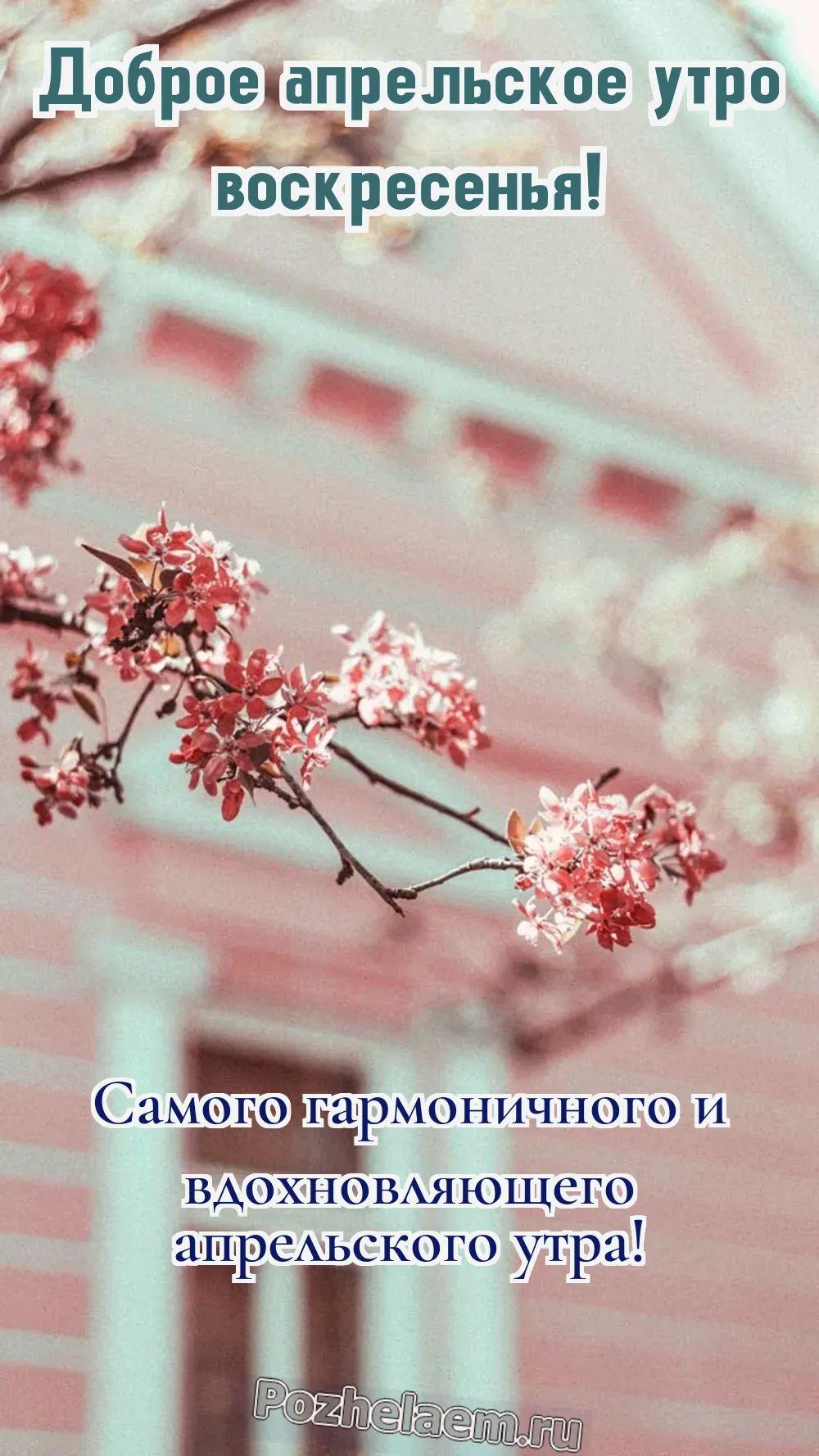 Доброе утро воскресенье апреля