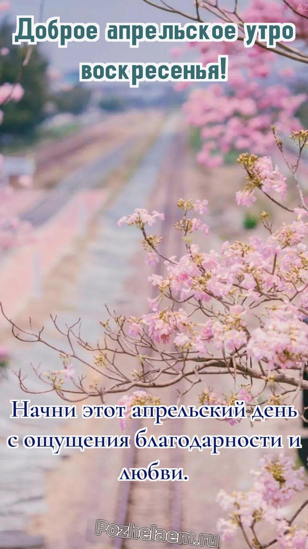 Доброе утро воскресенье апреля