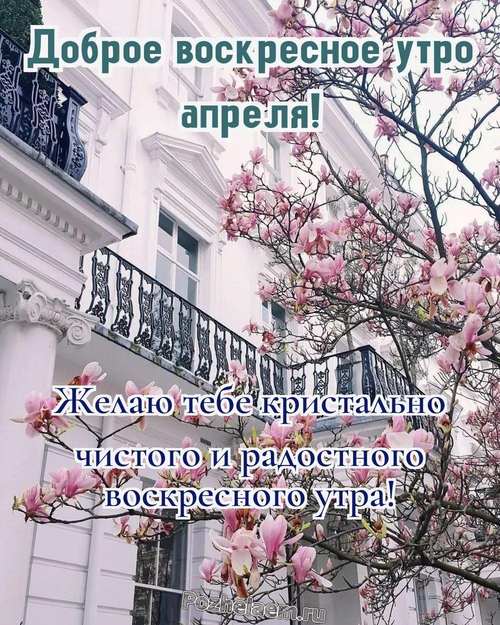 Доброе утро воскресенье апреля