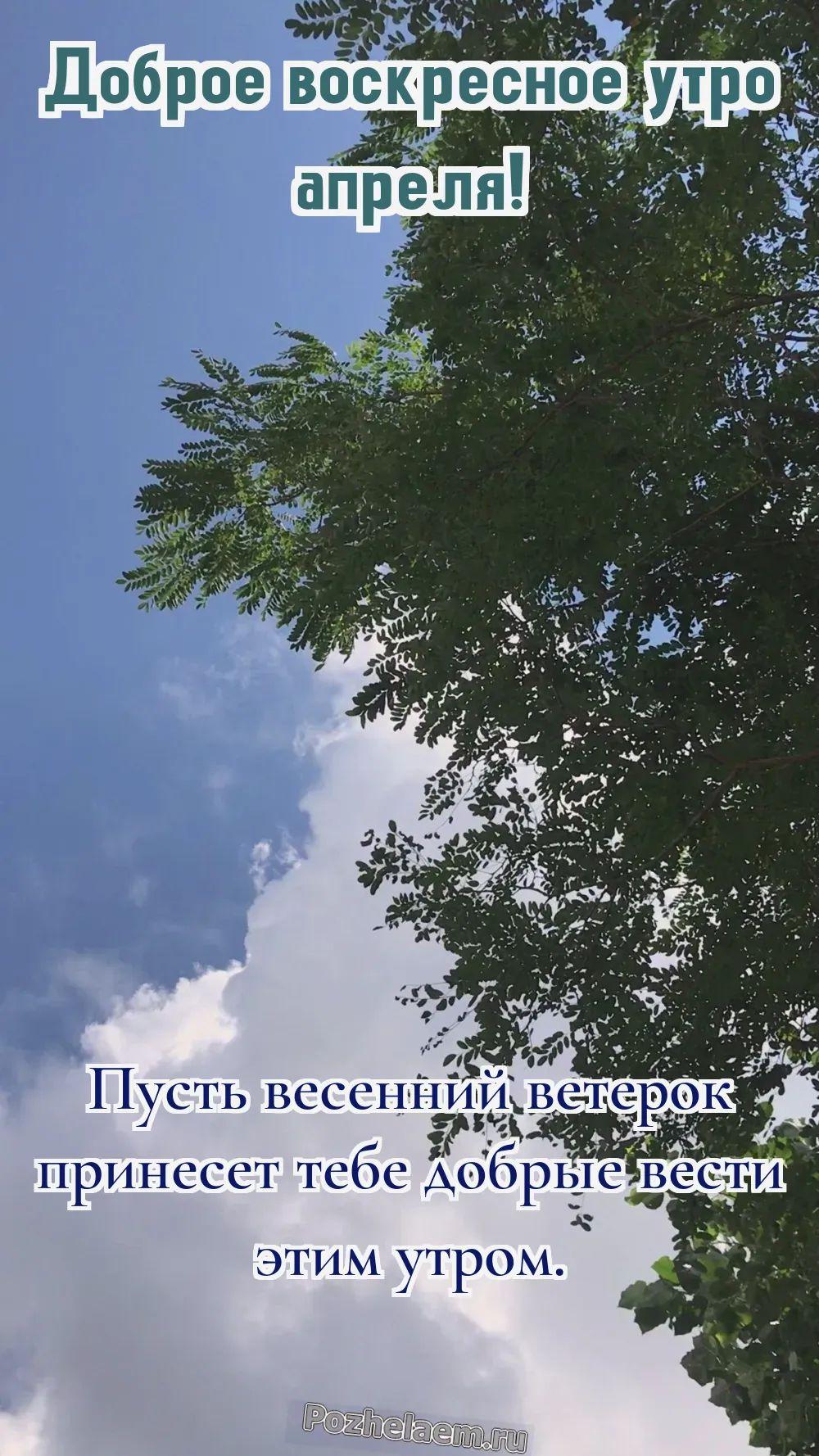 Доброе утро воскресенье апреля