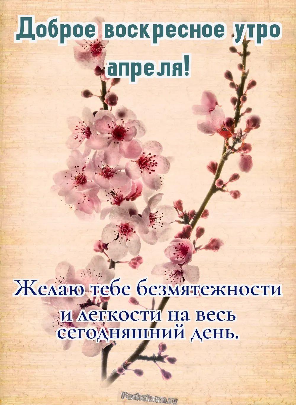 Доброе утро воскресенье апреля