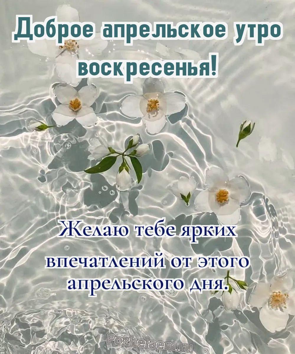 Доброе утро воскресенье апреля