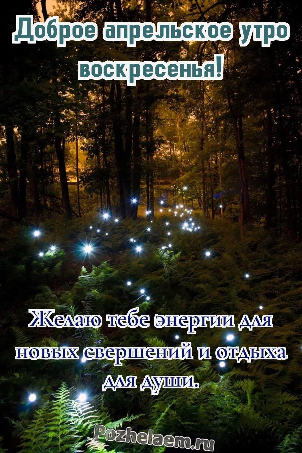 Доброе утро воскресенье апреля
