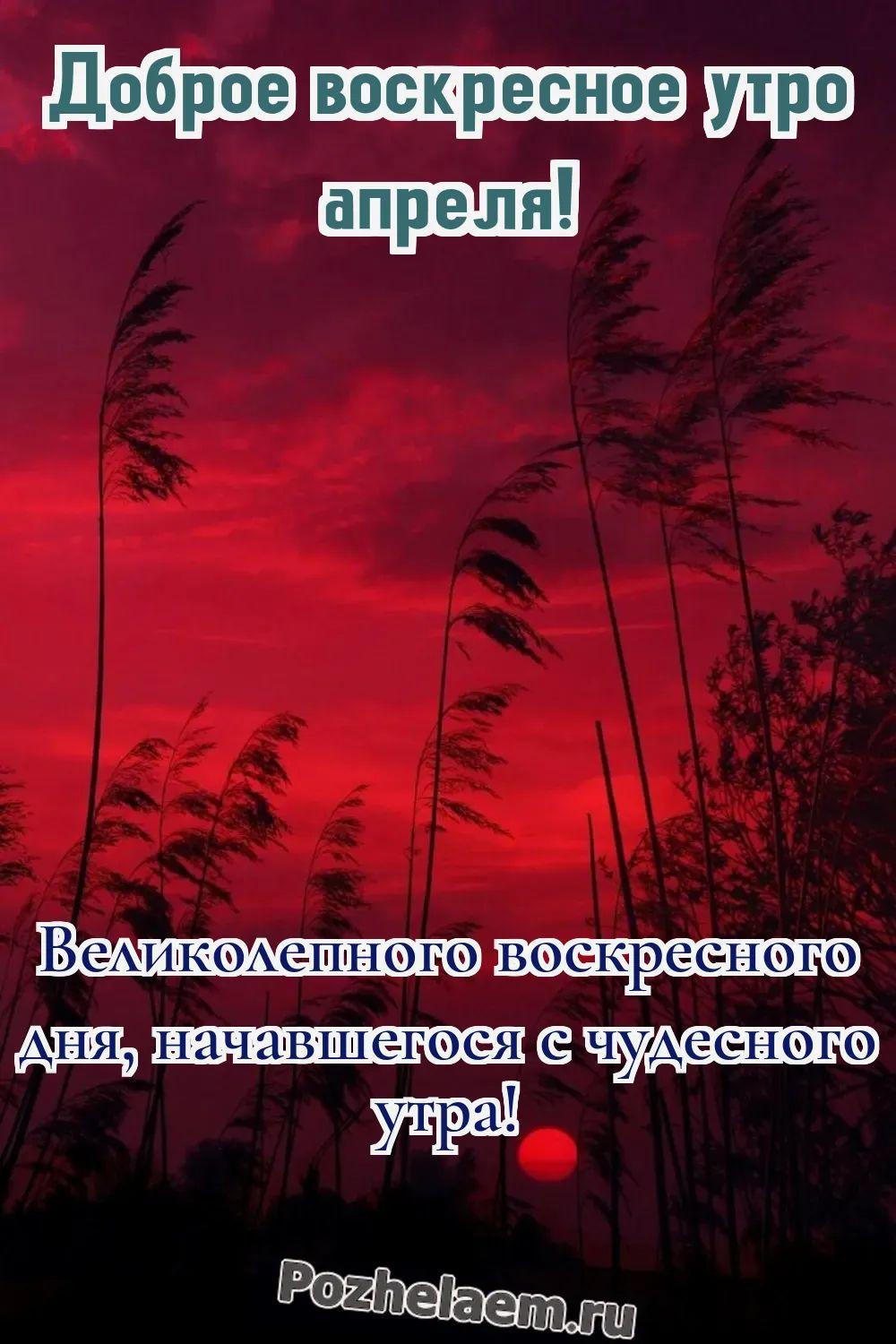 Доброе утро воскресенье апреля
