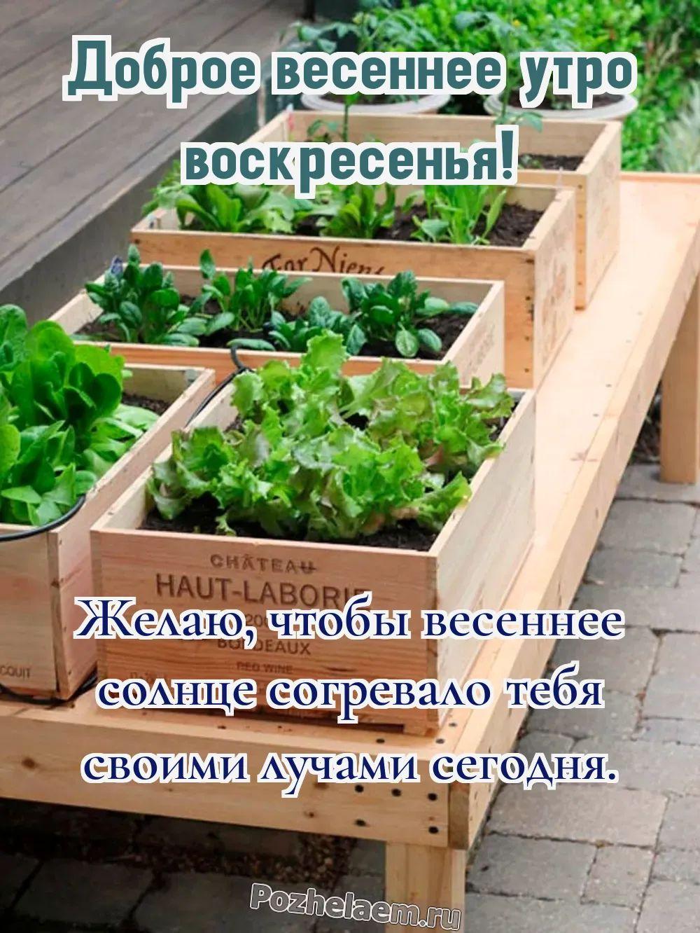 Доброе утро воскресенье апреля