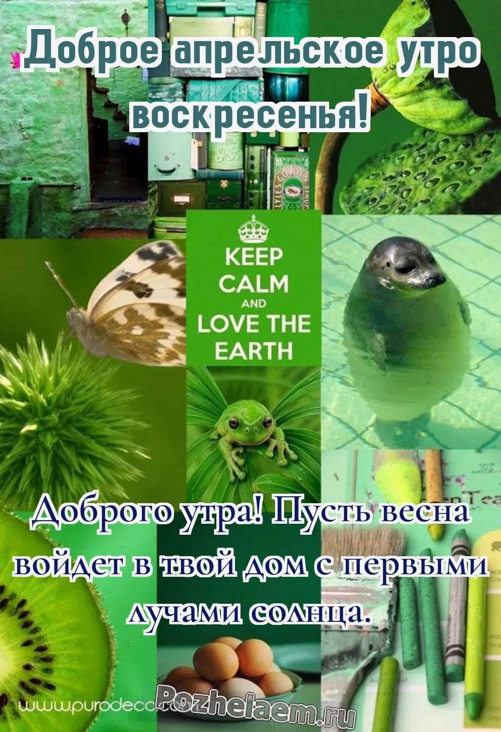 Доброе утро воскресенье апреля