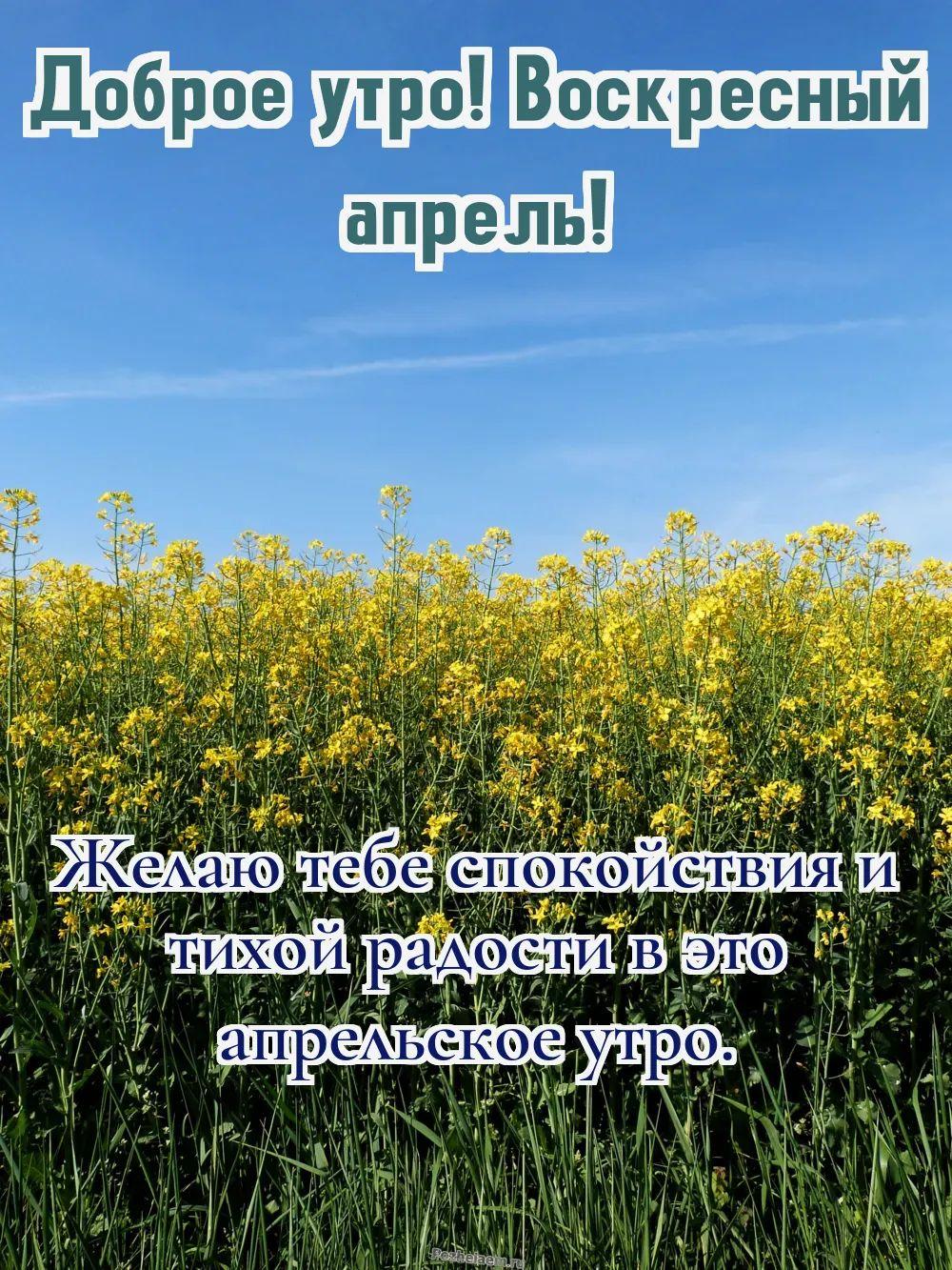 Доброе утро воскресенье апреля