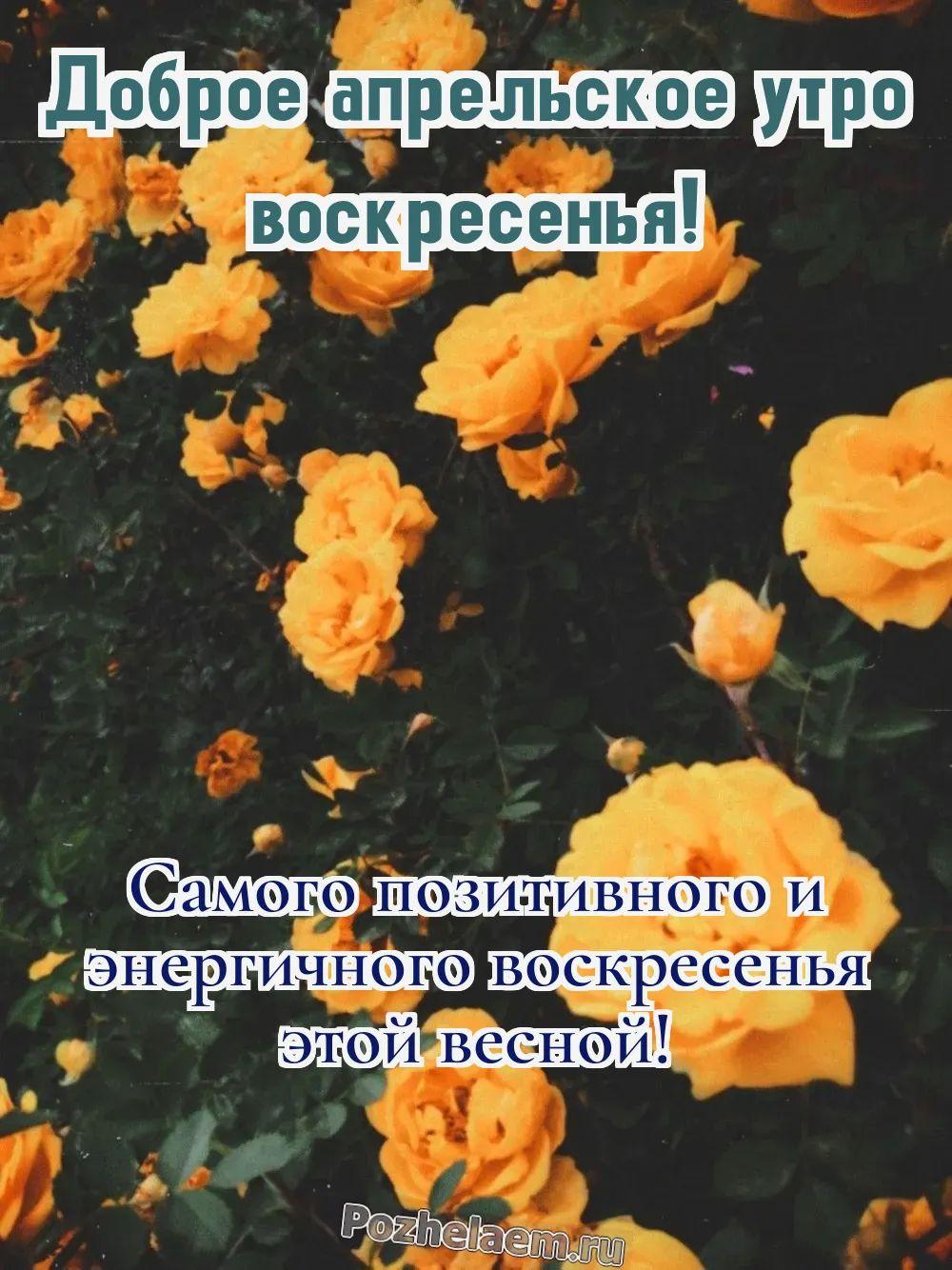 Доброе утро воскресенье апреля