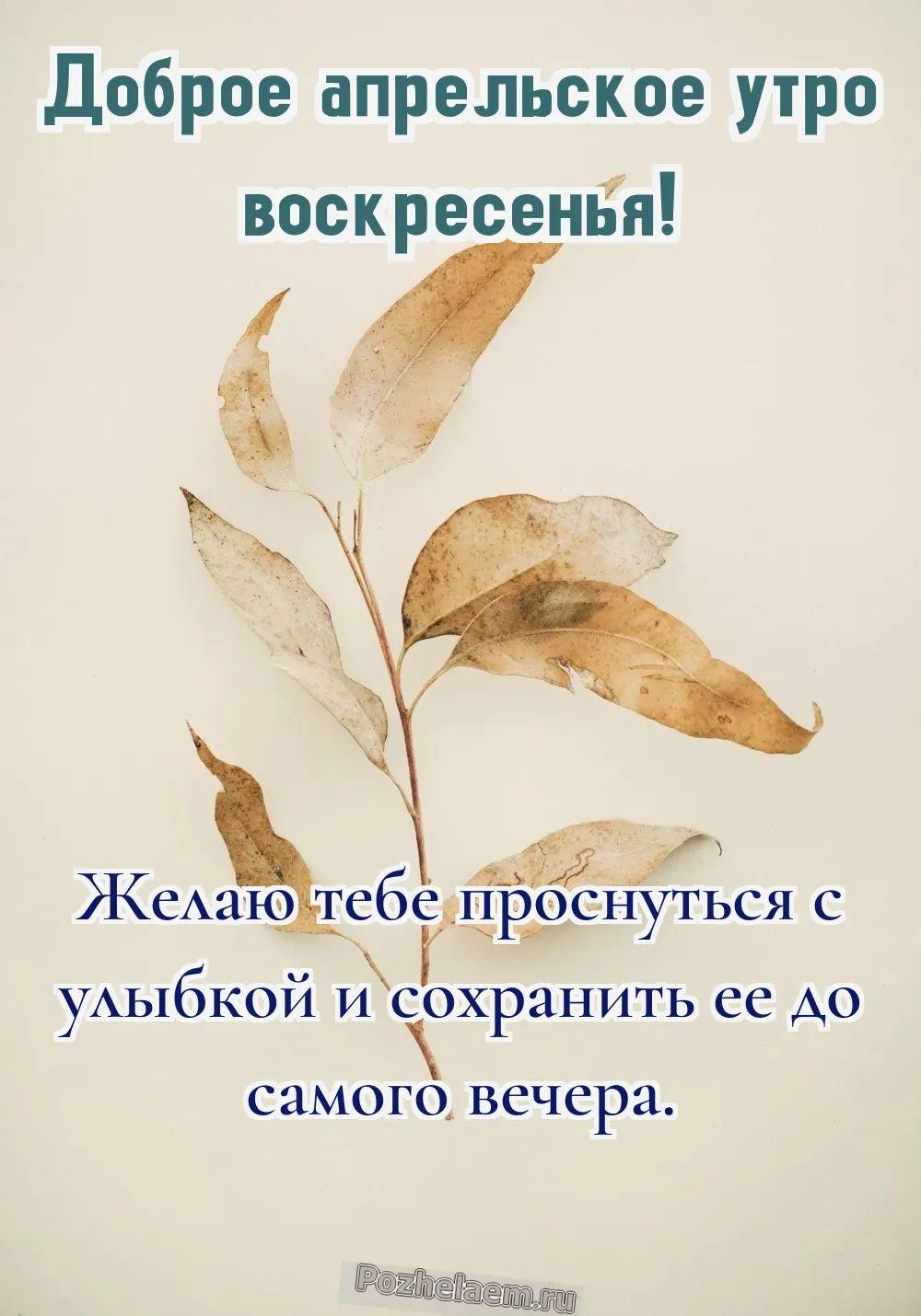 Доброе утро воскресенье апреля